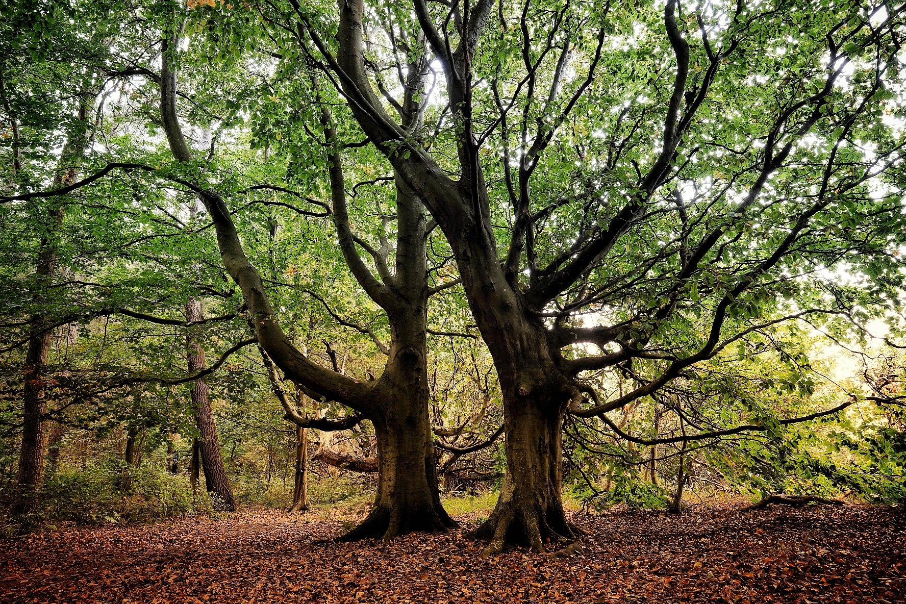 2022 0928 19583700 01